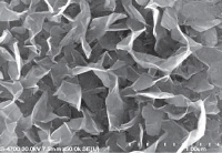 Graphene nanosheet electrode Graphene nanosheet electrode