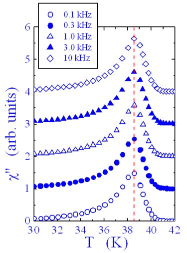Superparamagnetic behaviour under investigation Superparamagnetic behaviour under investigation