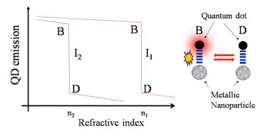 Schematic: opto-chemical and biological nanoswitch Schematic: opto-chemical and biological nanoswitch
